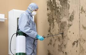 Best Mold Remediation for Rental Properties  in Irwin, SC